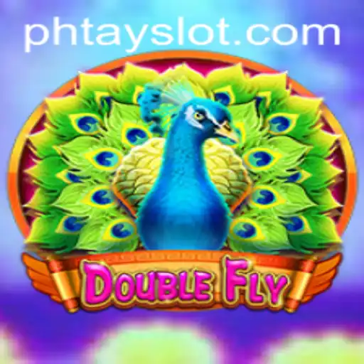 DoubleFly: An Innovative Gaming Experience